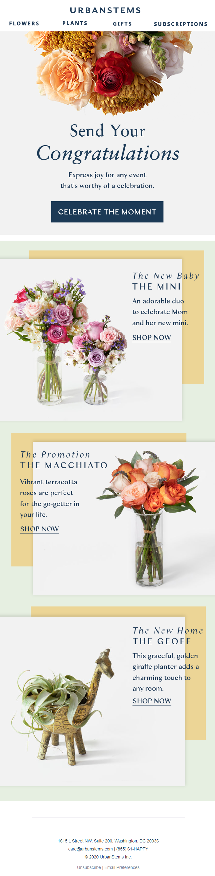 Top Email Design Trends for 2021 Alchemy Worx